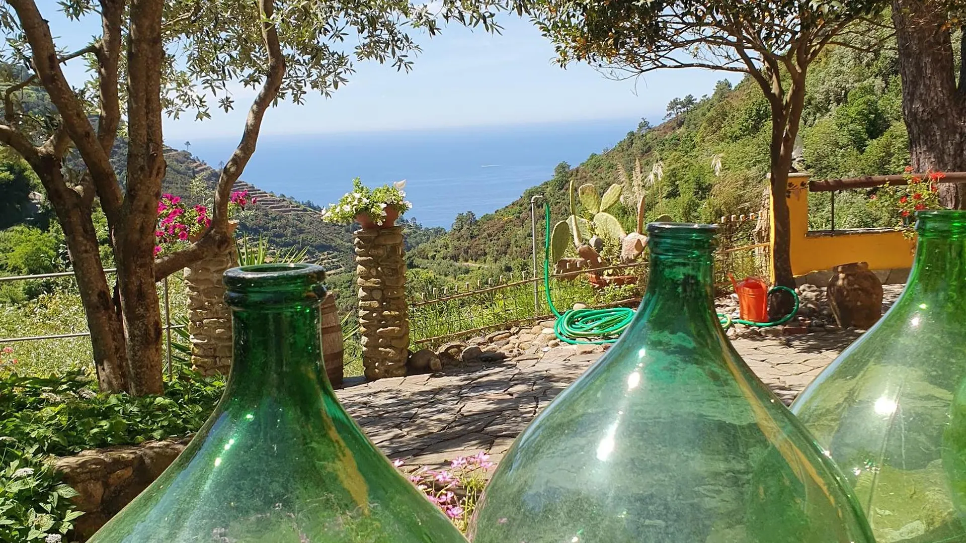 Bauernhof Agriturismo Costa Di Campo Vernazza