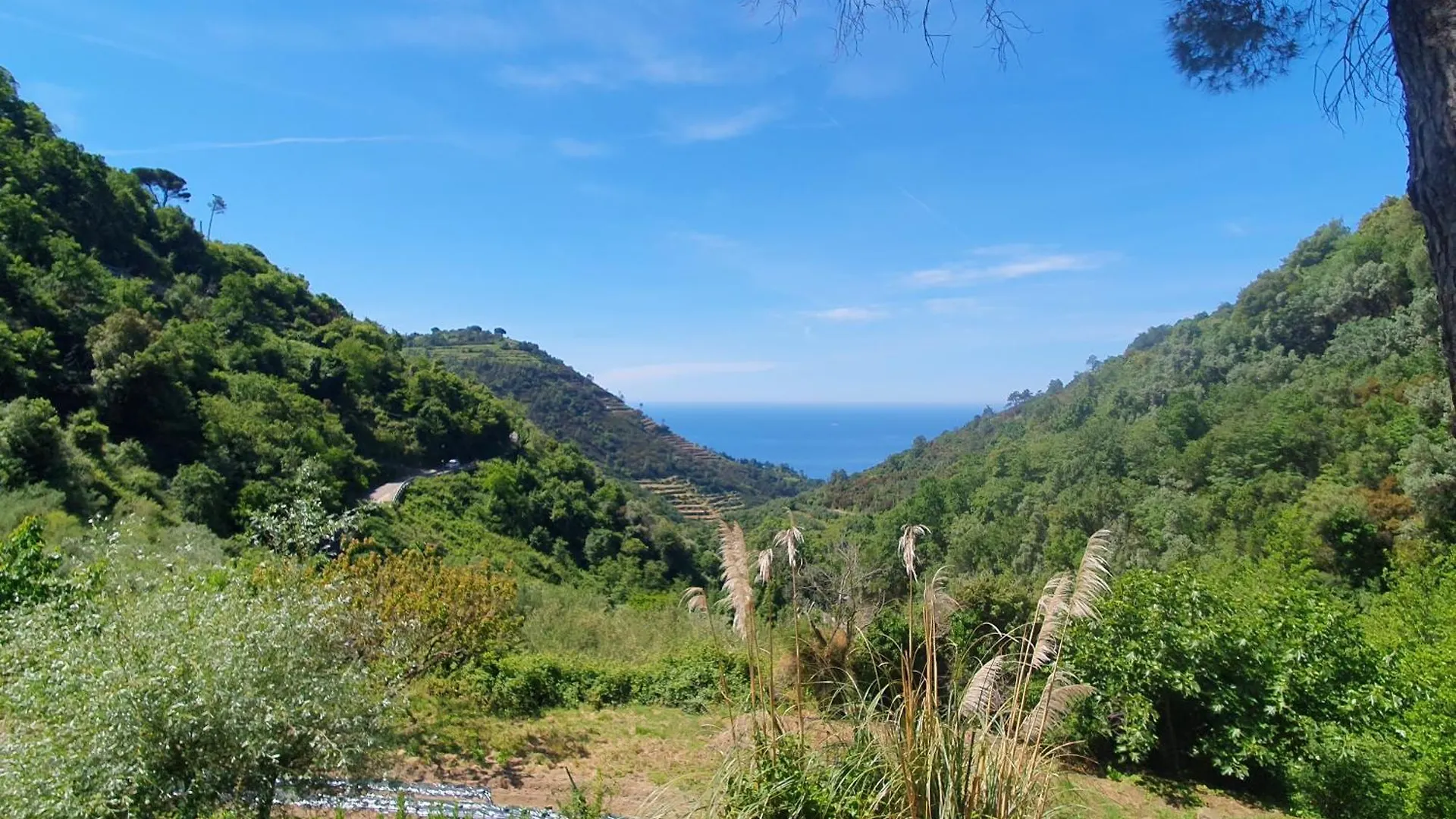 Agriturismo Costa Di Campo Vernazza 0*,  Italien