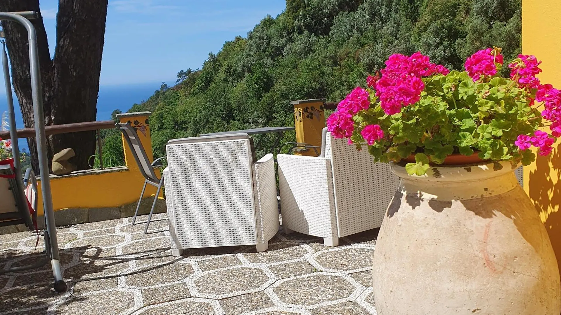 Agriturismo Costa Di Campo Vernazza