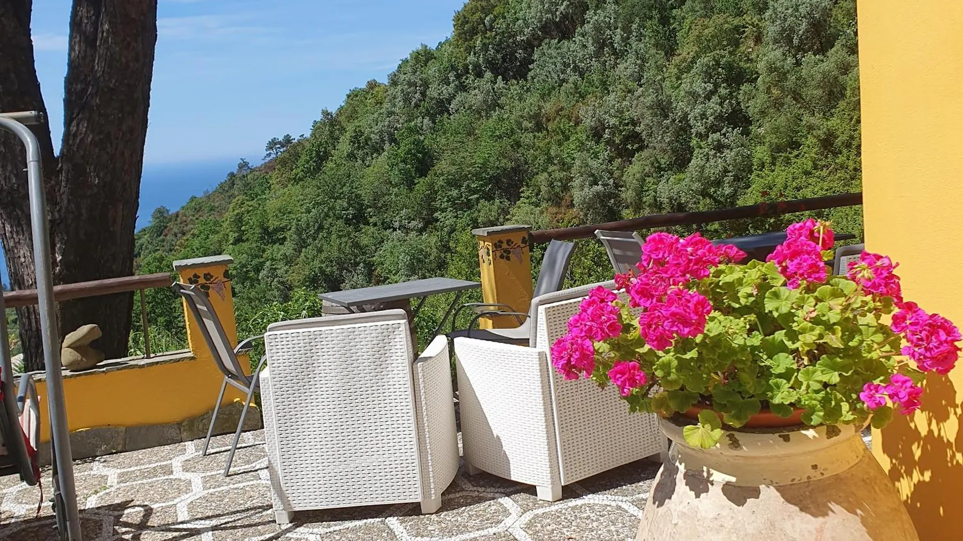 Bauernhof Agriturismo Costa Di Campo Vernazza