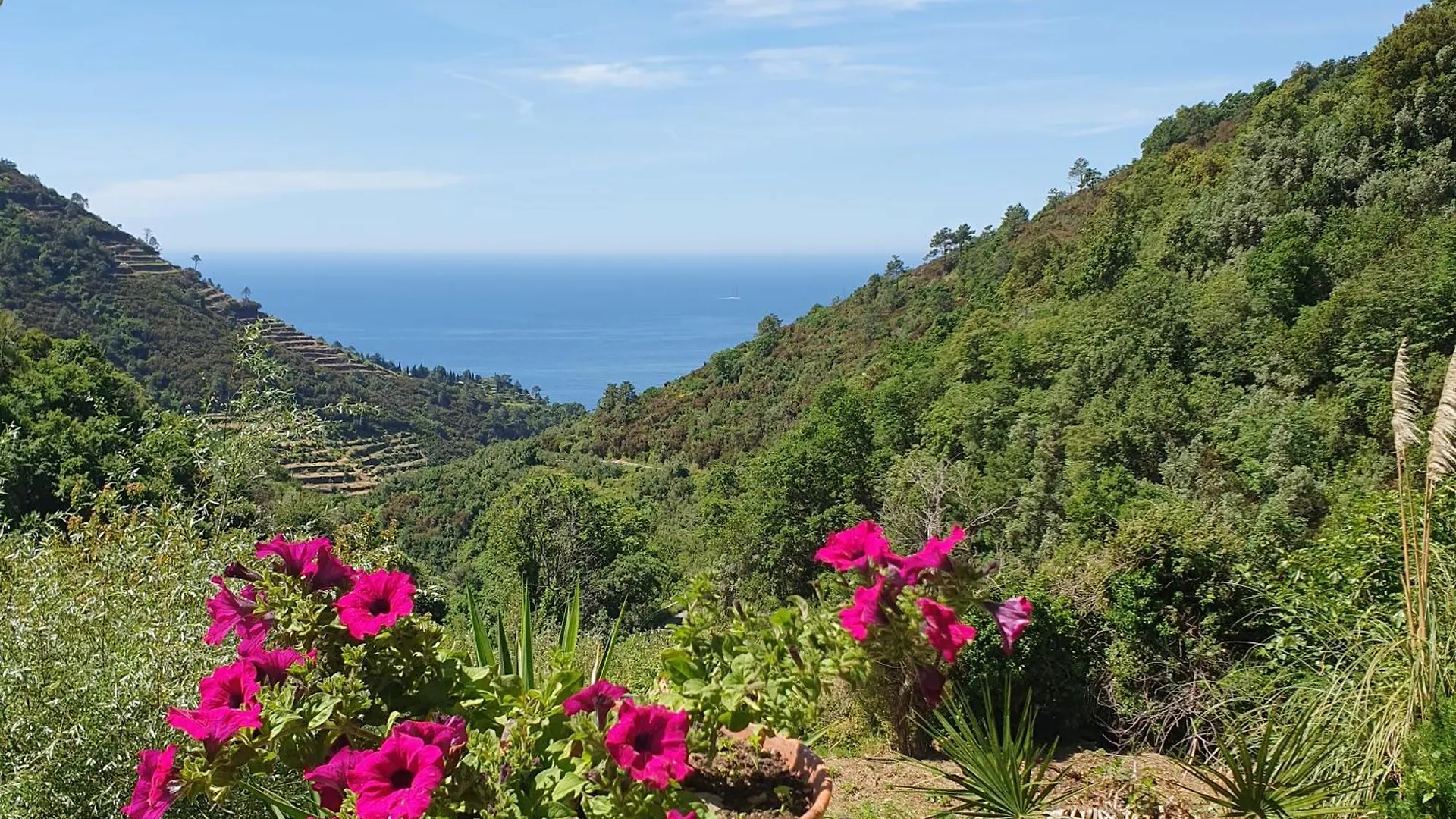 Bauernhof Agriturismo Costa Di Campo Vernazza