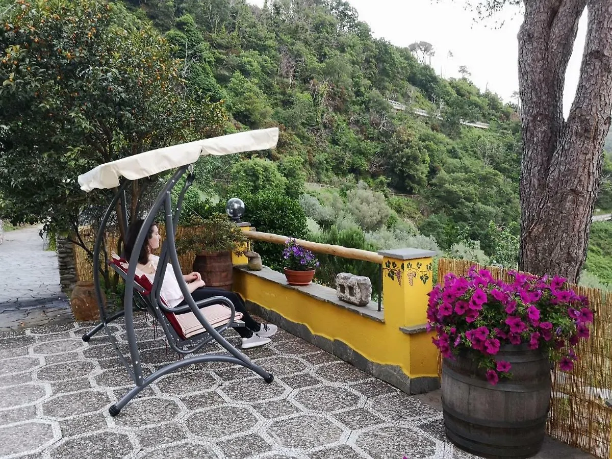 Bauernhof Agriturismo Costa Di Campo Vernazza Italien