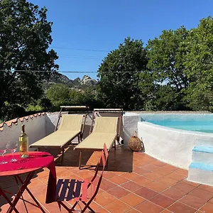 Il Muto Di Gallura Aggius